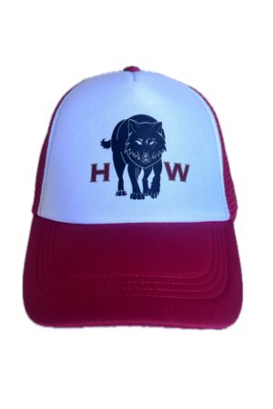 Logo Hungrywolf